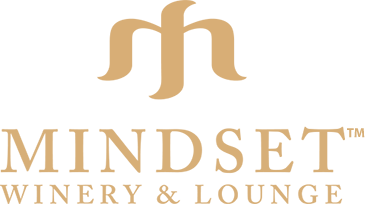Mindset Logo